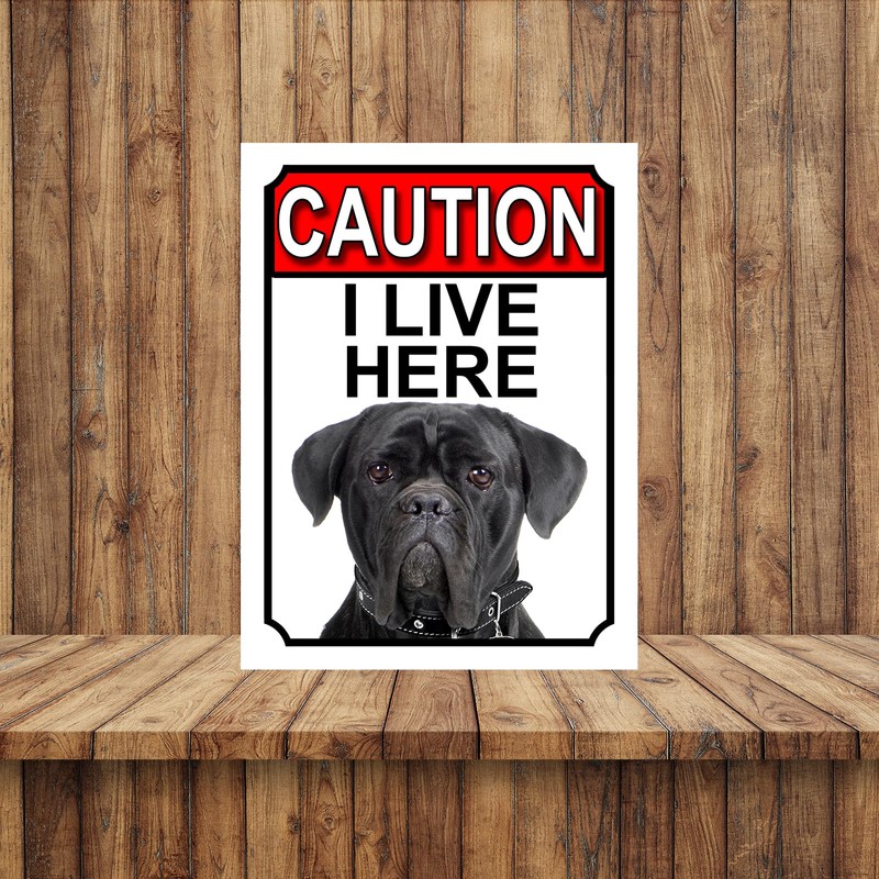 Shawprint CAUTION I LIVE HERE METAL GATE SIGN CANE CORSO