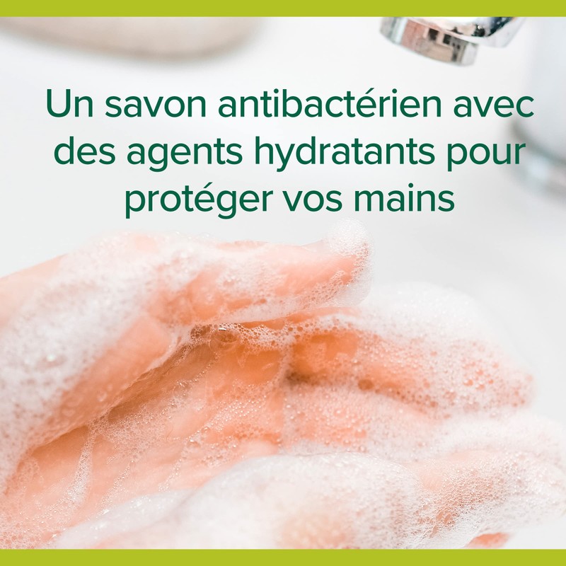 Palmolive Berlingot Eco-Recharge Hygiene Plus 250 ml