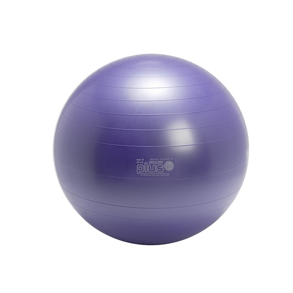 GYMNIC Plus 65 Exercise Ball, Purple