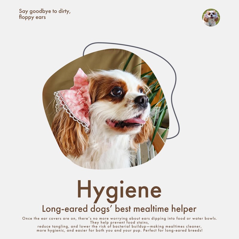 Soft Cotton Dog Headband for Cocker Spaniel, Cavalier, Springer -