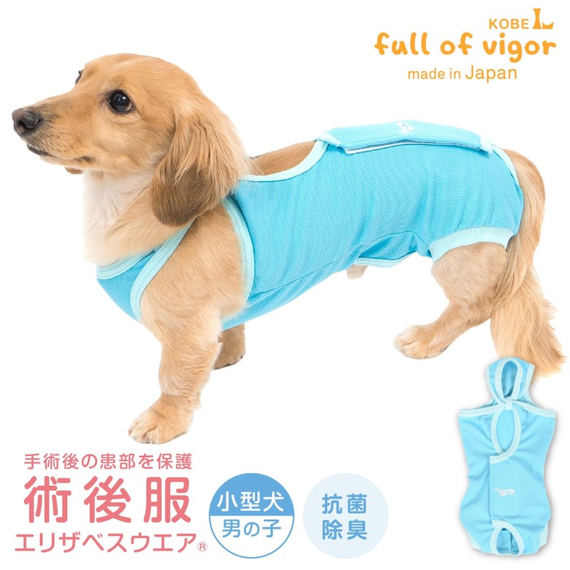 Small Dog Boys' Postoperative Clothing Elizabeth Wear (R) 7/Blue NS