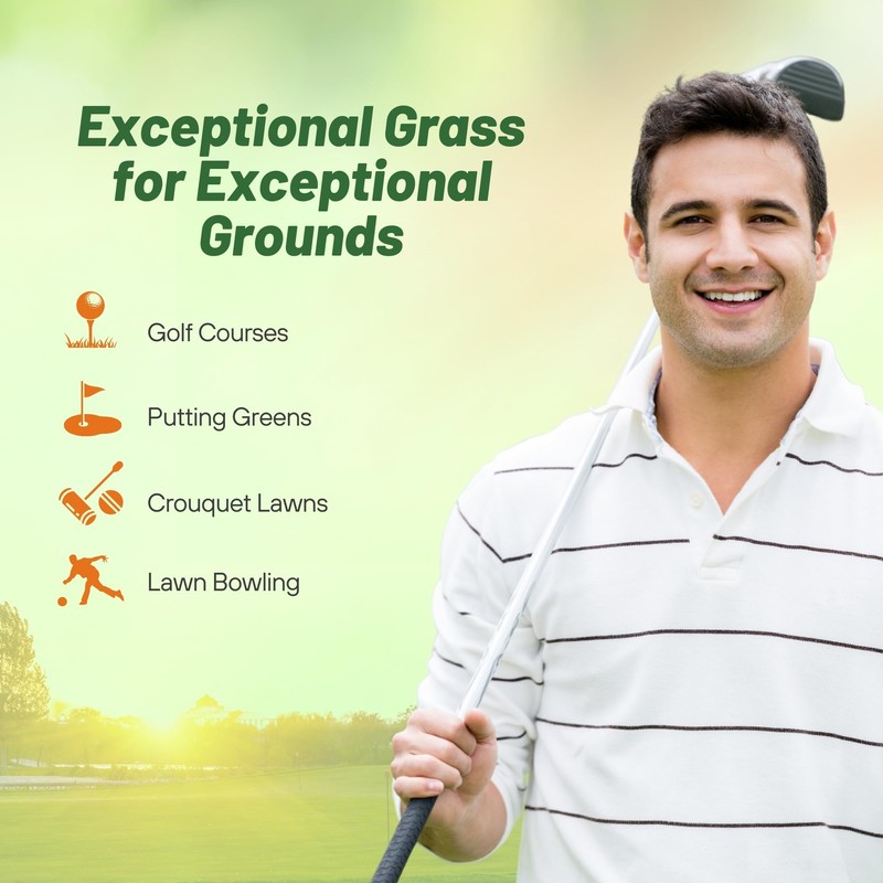 Outsidepride PC2.0 (Penncross) Creeping Bent Grass Seed – 1 lb.