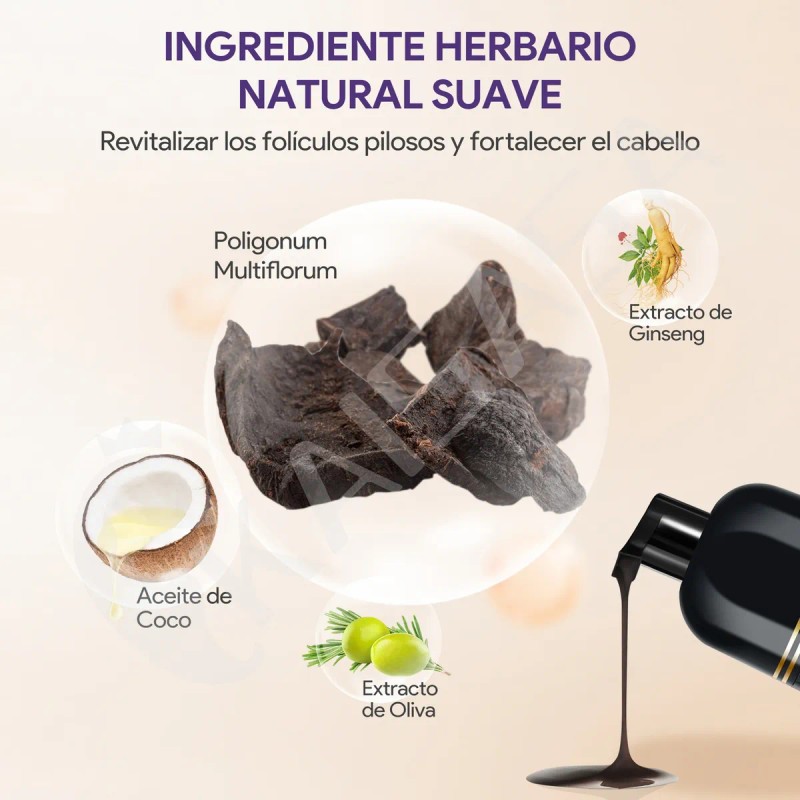 Kaisasa Hair Dye Shampoo Tinte Para Canas Con Aceite De