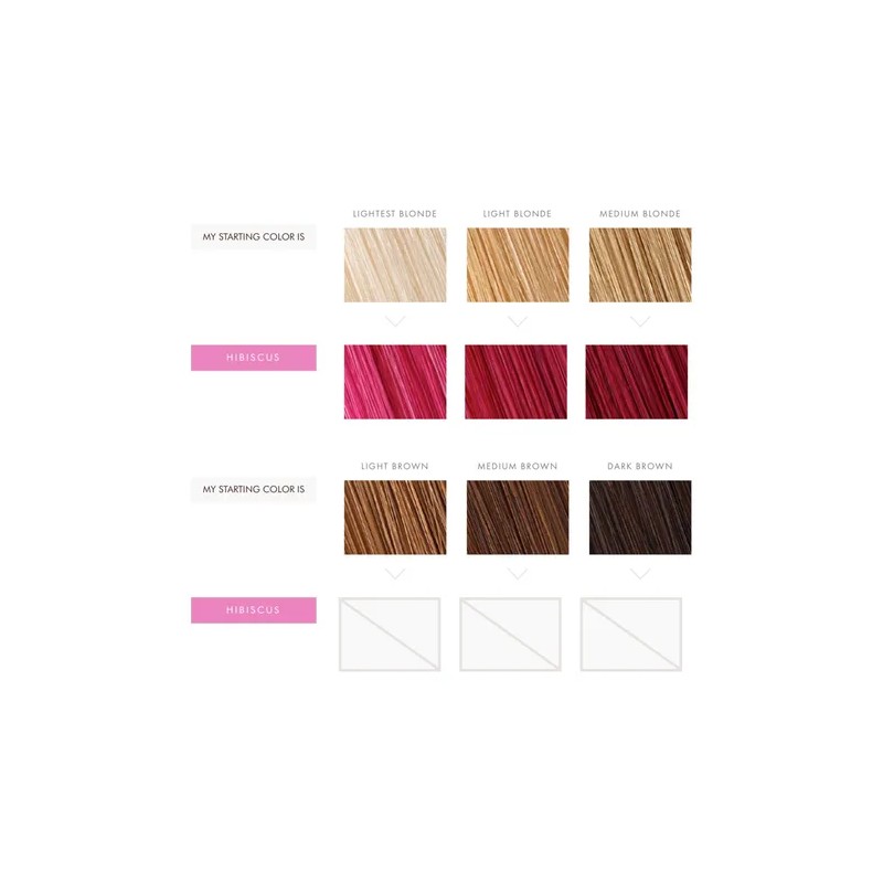 Mascarilla Para Cabello Moroccanoil Color Hibisco 200 Ml