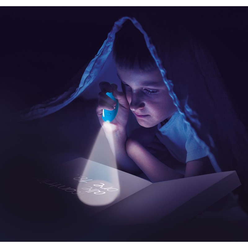 Galileo Detective Case