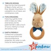 Rainbow Designs Peter Rabbit Wooden Ring Rattle - Multi-Texture Beatrix