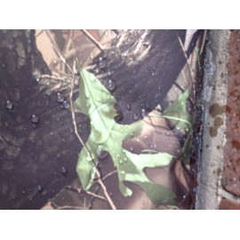 made to measure to your requirements WATERPROOF QUALITY DOG PET bed Spare ZIPPED COVER Heavy Duty Waterproof Dog spare zipped cover ** MADE IN UK ** dog beds, pet beds covers,, easy clean durable strong (camo, large 48x30inch)