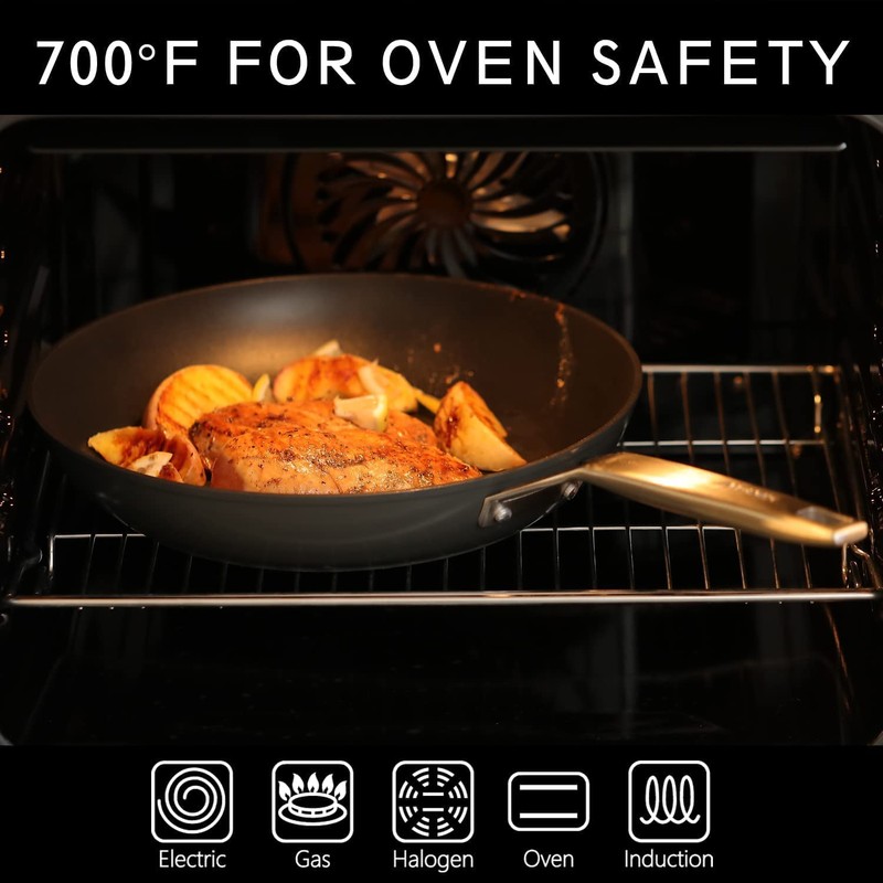 MsMk 8 inch Small Frying Pan with Lid, Burnt also