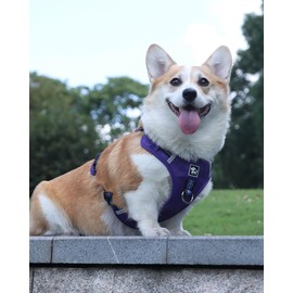 JUFOO No Pull Dog Harness with Easy Control Soft Handle for Small Medium Large Dogs,Reflective Adjustable Easy Walk Puppy Harness,Heavy Duty Girl Boy Pet Vest with Safety Buckle (Purple, S)