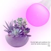 Grow Light Bulbs for Indoor Plants - Full Spectrum E26