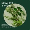 Aveda Rosemary Mint Purifying Shampoo Exfoliante Limpiador
