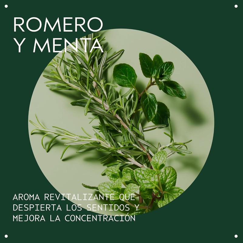 Aveda Rosemary Mint Purifying Shampoo Exfoliante Limpiador