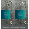 KOHLER Dual Shower Heads 3-Spray Round Wall Mount Hand Shower