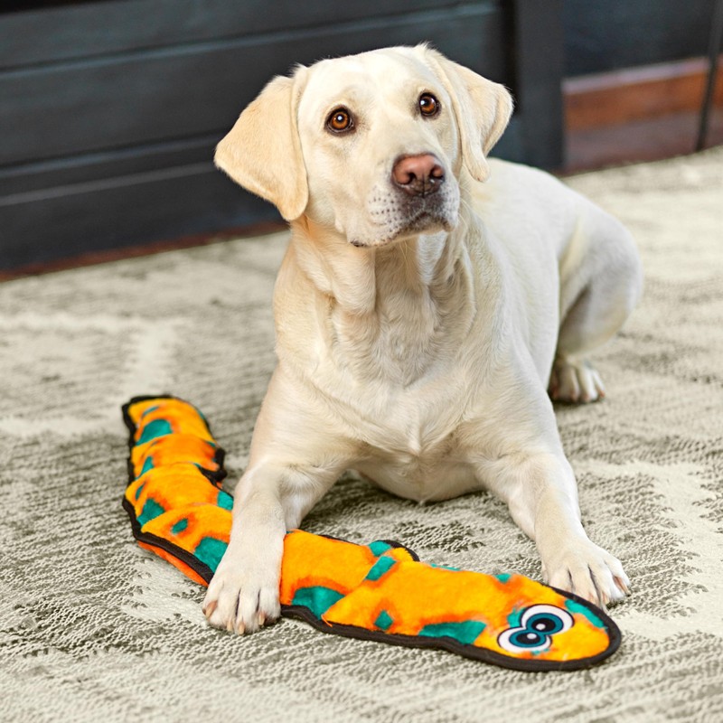 Outward Hound Durablez X-Large Snake Stuffing-Free Squeaky Plush Dog Toy