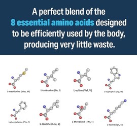Advanced Bionutritionals Perfect Amino XP Powder                                                                                                      