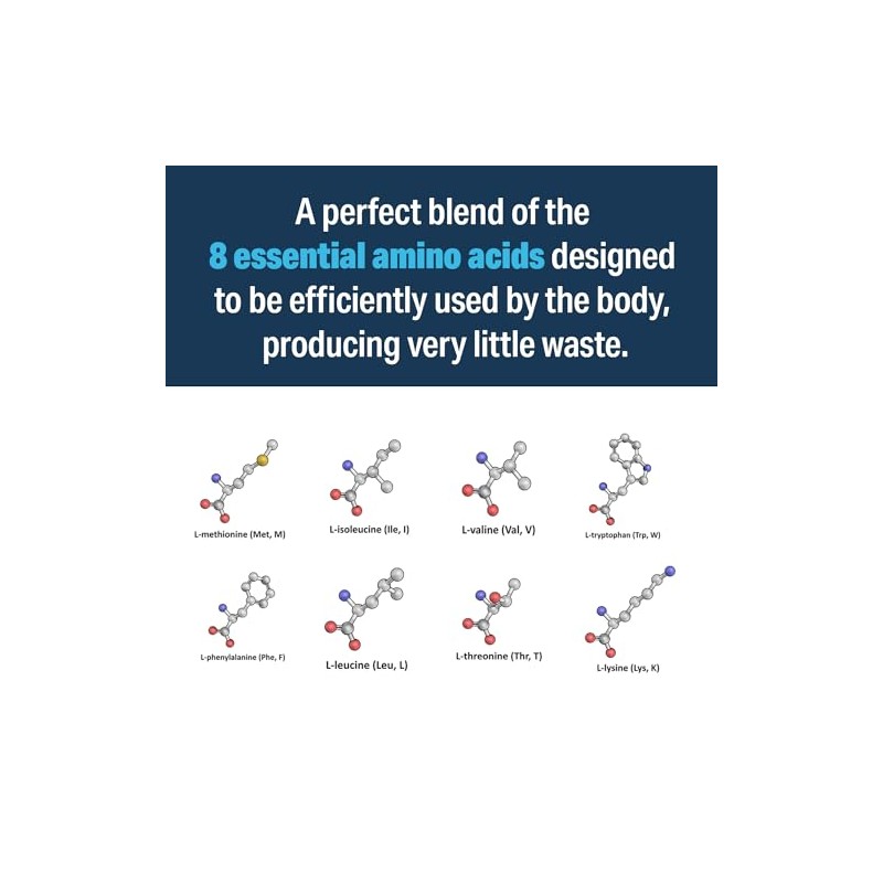 Advanced Bionutritionals Perfect Amino XP Powder