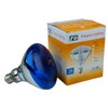 Fengrun Infrared Bulb Red Hard Explosion-Proof Glass Infrared Heat Lamp