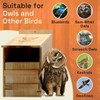 Owl House Cedar - Prebuilt Barn & Screech Owl Nesting