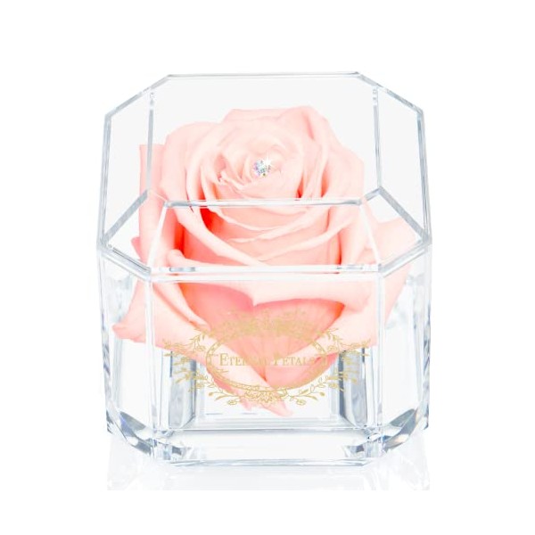 A 100% Real Rose That Lasts Years - Eternal Petals, Handmade in UK â Gold Solo with A Multicolour Swarovski Crystal (Blush)