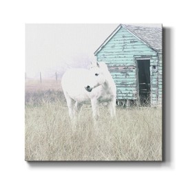 Renditions Gallery Canvas Wall Art Animals Theme for Home Décor, High Key Horse I Wall Art, Ready to Hang, 16'' x 16'', (AZS-WC07-40071-R-1616-SC)