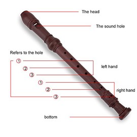 VGEBY Grabador Musical, Flauta Soprano de 8 Hoyos con Barra de Limpieza