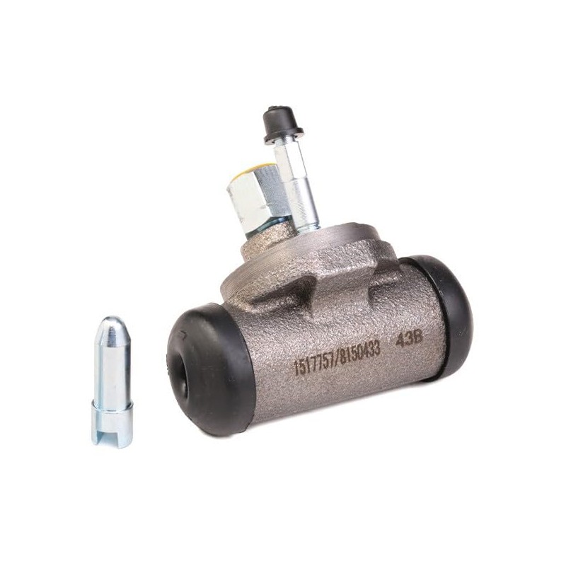 RIDEX 277W0054 Rear Wheel Brake Cylinder Cast Iron