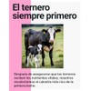 Cowabunga Calostro Bovino Polvo 120 Gramos Fabricado Excelentes Beneficios Fácil
