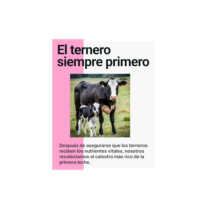 Cowabunga Calostro Bovino Polvo 120 Gramos Fabricado Excelentes Beneficios Fácil
