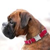Love Dream Collar reflectante para perro con hebilla de metal,
