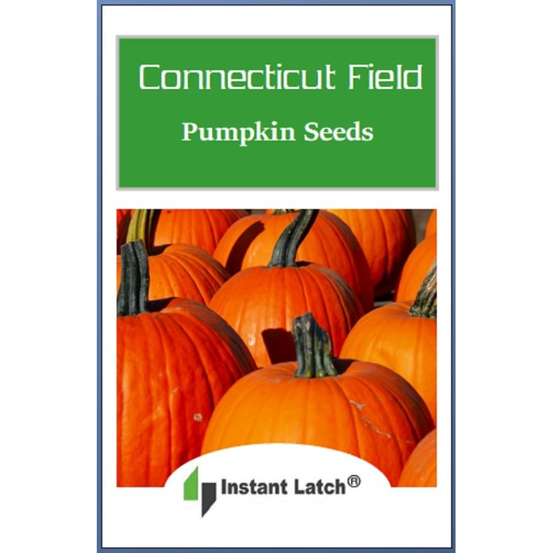 Connecticut Field Pumpkin Seeds | Non-GMO | Heirloom | Instant