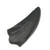 Tyrannosaurus Rex Tooth Replica