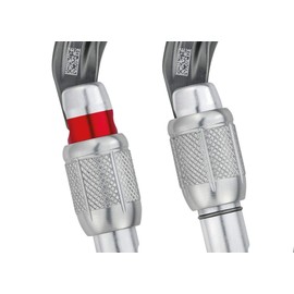 PETZL William Carabiner - Large, Pear-Shaped Locking Carabiner for Belay Stations and Belaying on a Munter Hitch - Screw-Lock