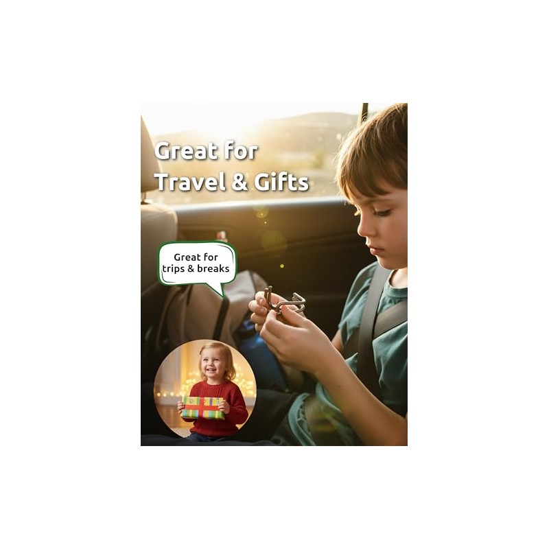 4-in-1 Classic Metal Puzzle Set by Sharp Brain Zone –
