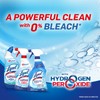 Lysol Bleach Free Hydrogen Peroxide Toilet Bowl Cleaner, Fresh, 24