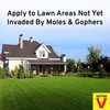 Victor M7001-1 Mole & Gopher Repellent, 64 Ounce (Pack of