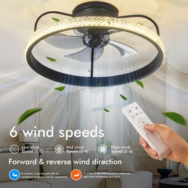 Fandian Modern Indoor Flush Mount Ceiling Fan with Lights,Dimmable LED 6 Speed with Invisible Blades,Remote Low Profile Chandelier Ceiling Fan Lights for Kids Room,Bedroom