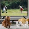 Silipull 2 Pcs Golf Ball Display Rack 8 Balls Clear