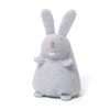 Gund, Misty Bunny Beanbag CDU