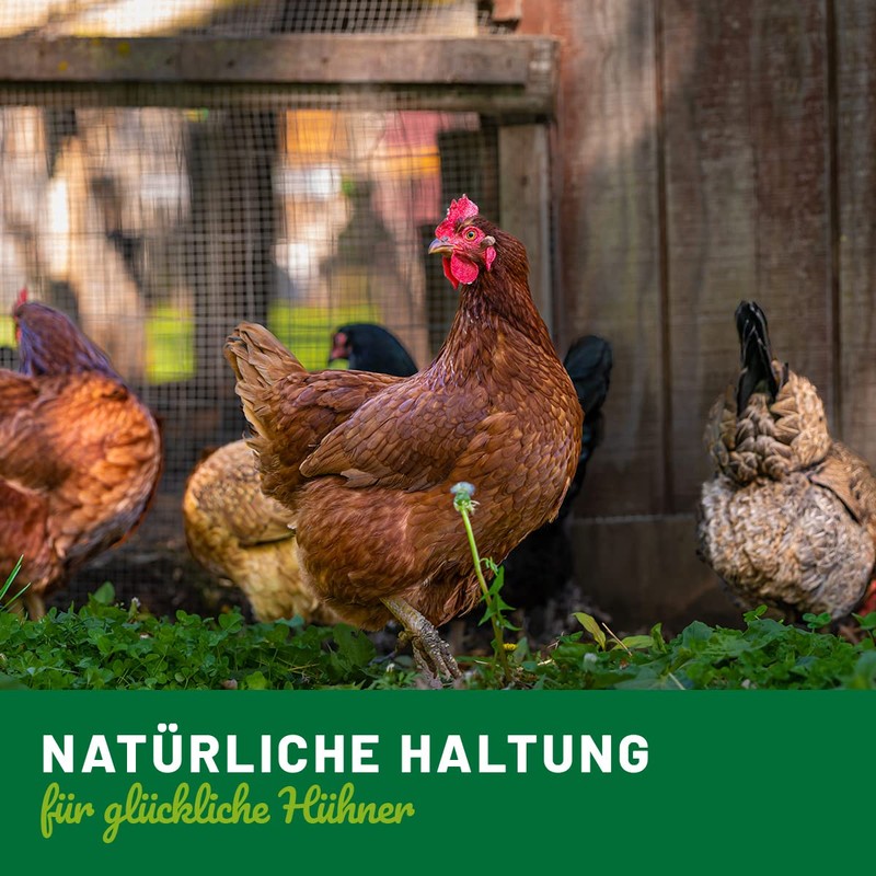 HÜHNER Land Winter Bronchi Liquid 20 ml for Chickens I