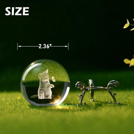 IFOLAINA 3D Cat Themed Gifts for Women Decor for Cat Lovers Cat Mom Crystal Ball Cat Related Sympathy Figurines Presents Cat Decorative Globe Decor with Stand