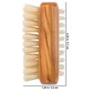 Redecker Olive Wood Nail Brush (Pig Hair)