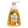 Nyassa Sicilian Tangerine Foaming Handwash 260ml Sulphate and Paraben Free