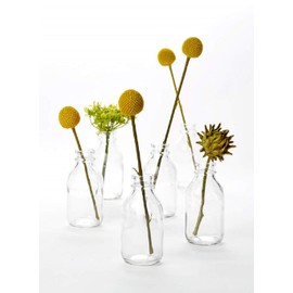 Serene Spaces Living Glass Milk Bottle Bud Vases – Vintage Milk-Bottle Style Vases - for Home Décor, Event Centerpieces and More, 4.25” H x 2” D, Set of 6