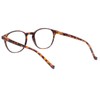 NORPERWIS 5 Pairs Reading Glasses - Standard Fit Spring Hinge