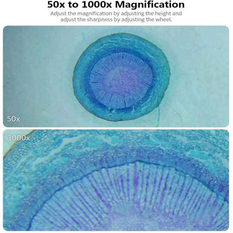 ROTEK Digital Microscope, ROTEK WiFi USB Microscope Camera 1000x Zoom
