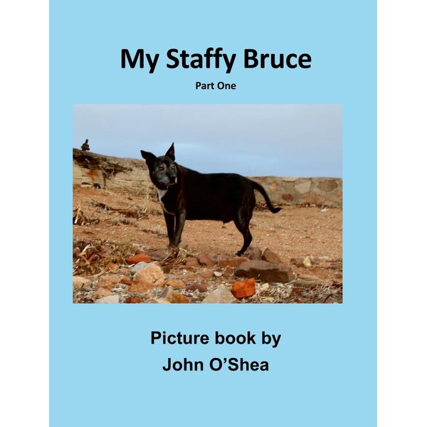 My Staffy Bruce: Part One