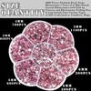 BELICEY 6000Pcs Resin Crystals Rhinestone Kit Light Pink 2/3/4/5/6mm Flatback