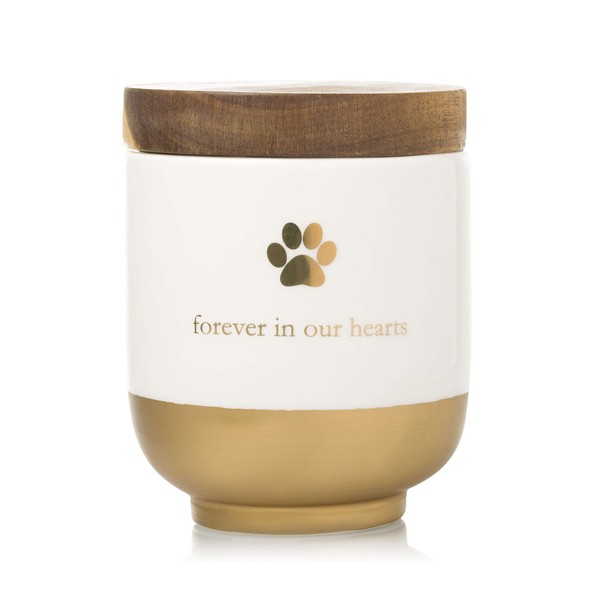 Pearhead Pet Ceramic Forever in Our Hearts Urn, Pet Memorial, Dog Or Cat Keepsake Urn, Rainbow Bridge, Gold
