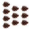 10pcs Bird Bite Pine Cones with Fixing Nuts, Pine Cone