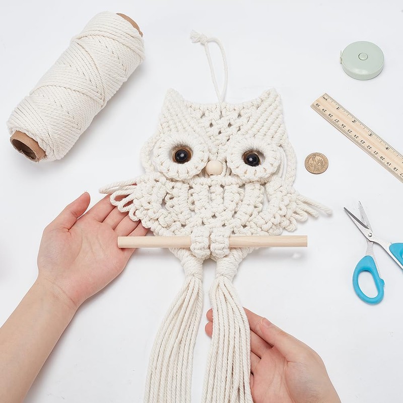 ORIGACH DIY Macrame Owl Wall Hanging Kit Hand Woven Macrame